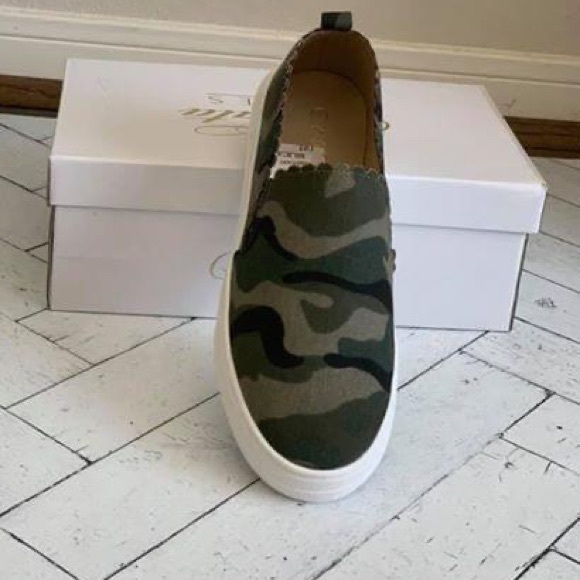 CAMO Canvas Slides - Picture 3 of 3